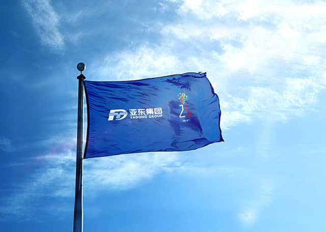 河北亚东化工集团 河北亚东化工集团