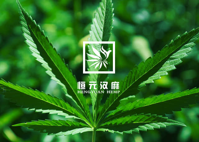 黑龙江恒元汉麻 黑龙江恒元汉麻