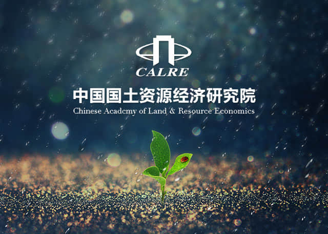 中国国土资源经济研究院