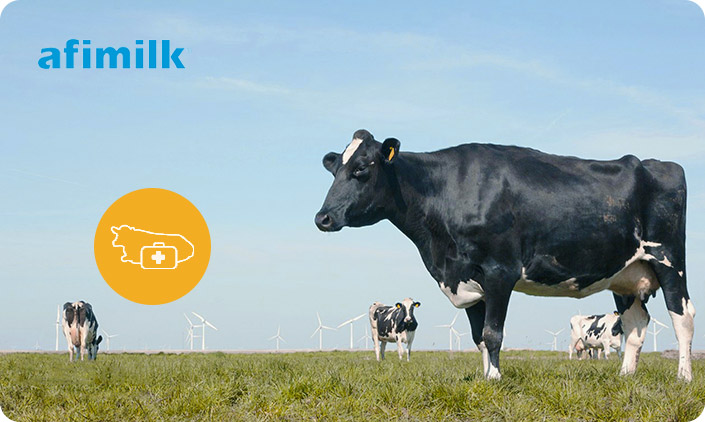 Afimilk—阿菲金中国