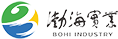山东渤海实业集团
