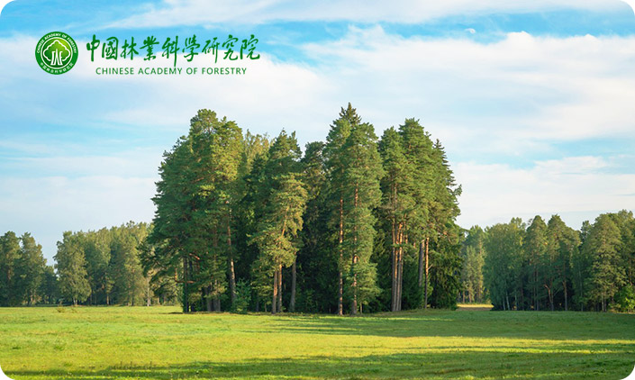 尚品中国承接中国林业科学研究院网站建设项目