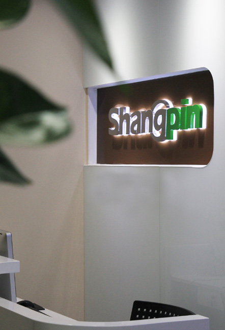 数字化变革下的专业网站建设公司