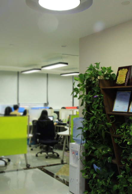 网站建设